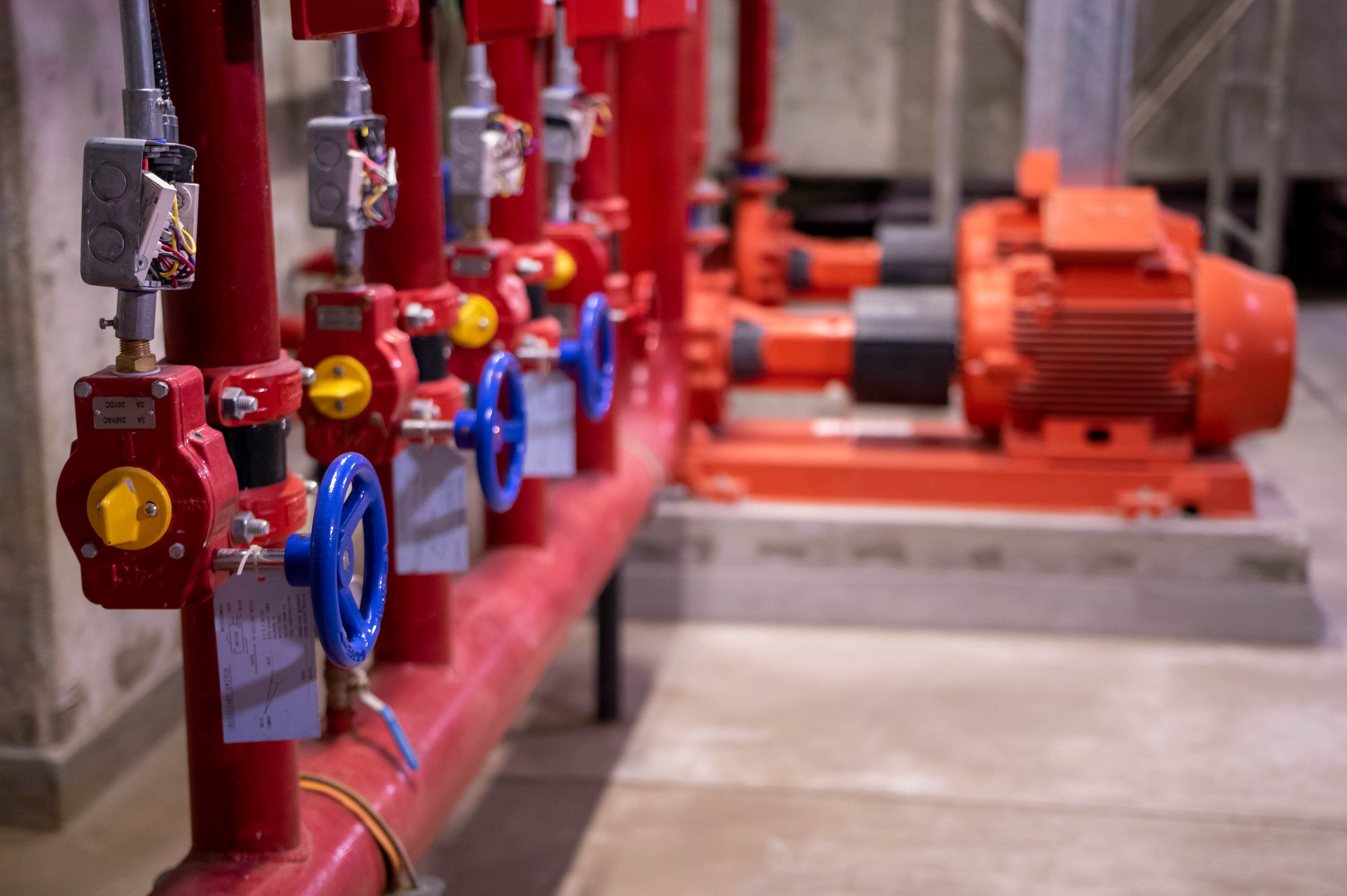 Hospital Italiano - IEP